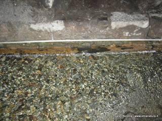 otta Amenano-04-03-2014 20-24-58